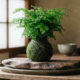 A incrível arte japonesa de cultivar folhagens suspensas em bolas de musgo e argila sem a necessidade de usar vasos de plástico