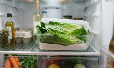 Adeus desperdício de saladas: a nova técnica de forrar gavetas com papel toalha para fazer as verduras e legumes durarem o dobro na geladeira