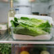Adeus desperdício de saladas: a nova técnica de forrar gavetas com papel toalha para fazer as verduras e legumes durarem o dobro na geladeira