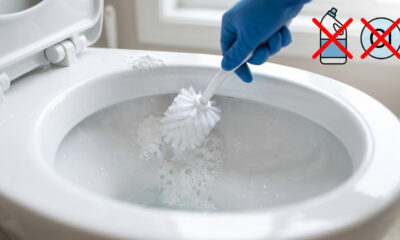 Sem água sanitária, nem cloro: a melhor forma de remover o amarelado do vaso sanitário sem destruir o esmalte protetor da cerâmica