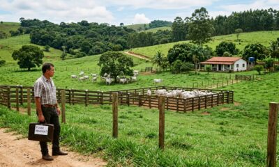 Homem administra sítio da família por 15 anos, gasta R$ 130 mil em benfeitorias e cria gado no local, mas quando pede o usucapião descobre que o consentimento dos parentes derruba o animus domini exigido por lei