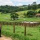 Homem administra sítio da família por 15 anos, gasta R$ 130 mil em benfeitorias e cria gado no local, mas quando pede o usucapião descobre que o consentimento dos parentes derruba o animus domini exigido por lei