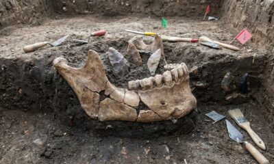 Lesão em mandíbula de Homo sapiens revela que a violência já fazia parte da vida humana há 90 mil anos