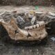 Lesão em mandíbula de Homo sapiens revela que a violência já fazia parte da vida humana há 90 mil anos
