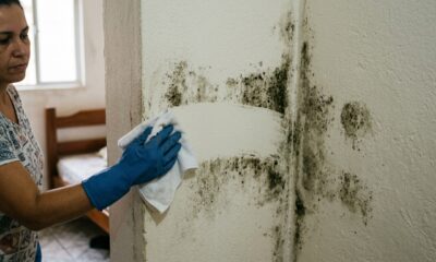 Como corrigir parede mofada e evitar que a mancha volte sem deixar marcas na pintura