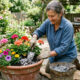 O adubo secreto dos jardineiros antigos que faz as flores dobrarem de tamanho: o truque de misturar cinzas de churrasqueira na terra de vasos