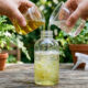 Mistura de detergente neutro com óleo vegetal: para que serve a calda simples de borrifar que sufoca e elimina pulgões e pragas das plantas