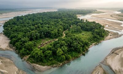 Um único homem passou 40 anos plantando árvores em um banco de areia árido: agora é uma floresta de 526 hectares repleta de elefantes, rinocerontes e tigres