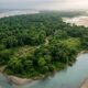 Um único homem passou 40 anos plantando árvores em um banco de areia árido: agora é uma floresta de 526 hectares repleta de elefantes, rinocerontes e tigres