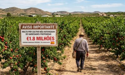 Produtor rural é preso e multado em mais de R$ 1,8 milhão por cultivar fruta patenteada sem autorização