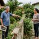 Vizinha planta bambu perto do muro, raízes avançam para o terreno ao lado e, 5 anos depois, o jardim vira uma disputa entre os proprietários