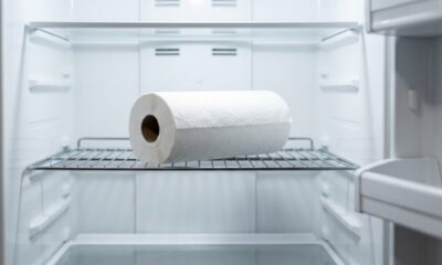 Colocar papel toalha na geladeira: para que serve esse truque antigo e por que se tornou tão popular entre donas de casa