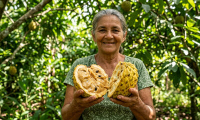 Adeus graviola tradicional: essa fruta de cor amarela e casca escamosa possui uma polpa suculenta com gosto doce de leite condensado e banana