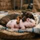 Dachshund encontra um leitão sozinho e o confunde com um de seus cachorrinhos