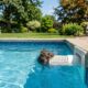 Família encontra mãozinha presa no filtro da piscina e descobre animal misterioso lutando pela vida