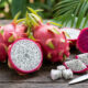 Cultivo de pitaya em vaso: o passo a passo definitivo para plantar e colher essa fruta exótica dentro de casa