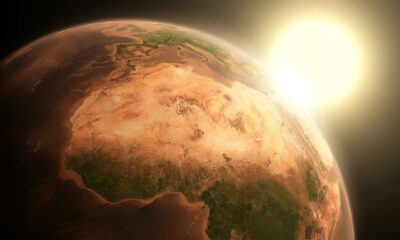 Cientistas calculam quando as últimas plantas podem desaparecer da Terra e o prazo chega a 1,87 bilhão de anos