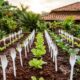 Nem espantalho nem produto caro: por que jardineiros estão espetando garfos de plástico na horta