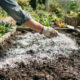 Aplicação de cal virgem no jardim: para que serve o uso estratégico do pó branco para corrigir a acidez da terra e prevenir o ataque de fungos