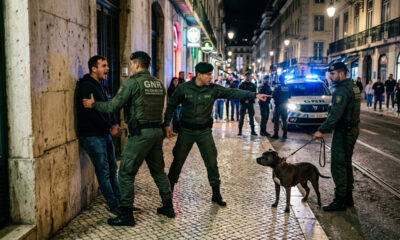 Proprietário passeia com pitbull sem focinheira na rua e é parado pela polícia com multa de R$ 800 baseada em regra de controle de animais