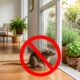 As 6 plantas que podem ajudar a manter ratos longe de casa e deixar o quintal menos convidativo para os roedores