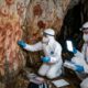 DNA de 20 mil anos é encontrado perto de pintura rupestre e abre nova janela sobre humanos do passado