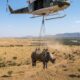 Filhote de rinoceronte é resgatado por helicóptero em operação inusitada