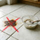 Mistura de vinagre branco com sal fino: para que serve e por que muitos usam a solução imediata para tirar manchas de ferrugem do piso