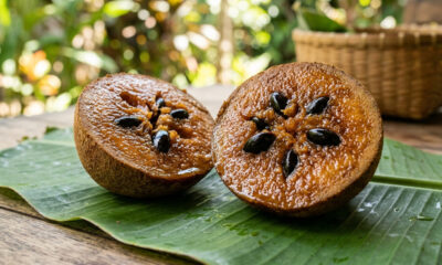 Essa fruta nativa tem sabor doce de pudim de caramelo e nasce em uma árvore de grande porte com sombra generosa para o quintal