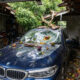 Morador processa vizinho após mangas de árvore vizinha caírem e amassarem seu carro na garagem: lei obriga dono da planta a pagar indenização