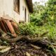 Cobras estão aparecendo com mais frequência dentro de casas, e especialistas revelam o cuidado que pode ajudar a mantê-las afastadas