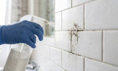 Mistura de vinagre branco com álcool de 70%: para que serve o spray de limpeza que mata a raiz do mofo negro e higieniza azulejos sem esforço