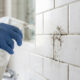 Mistura de vinagre branco com álcool de 70%: para que serve o spray de limpeza que mata a raiz do mofo negro e higieniza azulejos sem esforço