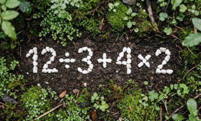 O cálculo 12 ÷ 3 + 4 × 2 parece básico, mas muita gente erra na resposta
