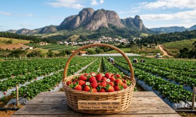 A capital do morango queridinha do Brasil (e não fica no Nordeste): o pequeno município que virou referência nacional na produção de morangos e atrai turistas em busca do sabor da serra