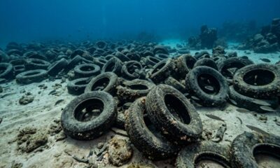 Dois milhões de pneus foram afundados para salvar o mar, mas 50 anos depois o projeto se transformou em uma das maiores catástrofes ecológicas