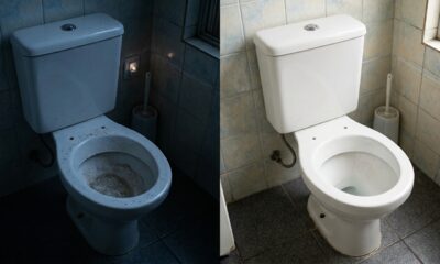 Minha vó mandou eu colocar sal no vaso à noite antes de ir dormir: no outro dia o vaso estava limpo e sem odores ruins no banheiro