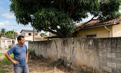 Vizinho planta árvore no próprio quintal para ter sombra, mas 8 anos depois os galhos e raízes invadem o terreno ao lado e rachaduras no muro transformam a copa frondosa em ação de indenização