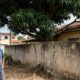 Vizinho planta árvore no próprio quintal para ter sombra, mas 8 anos depois os galhos e raízes invadem o terreno ao lado e rachaduras no muro transformam a copa frondosa em ação de indenização