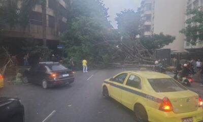 Moradores do Rio relatam pânico com força dos ventos; árvores caídas e apagão total