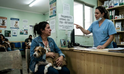 Clínica exige PIX de R$ 5 mil para operar cachorro atropelado em estado grave e o que a lei diz sobre a omissão de socorro ao tutor sem dinheiro
