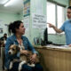 Clínica exige PIX de R$ 5 mil para operar cachorro atropelado em estado grave e o que a lei diz sobre a omissão de socorro ao tutor sem dinheiro