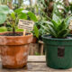 Vasos de barro x vasos de plástico: como a porosidade e a retenção de umidade de cada material afetam o desenvolvimento das suas plantas
