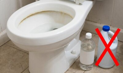 O que significa quando o vaso sanitário fica com manchas amarelas mesmo depois de limpo