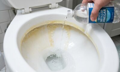 Como limpar o vaso sanitário encardido e remover o anel amarelado