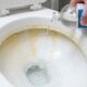 Como limpar o vaso sanitário encardido e remover o anel amarelado