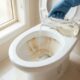 Nem água sanitária nem produto caro: o vinagre pode ajudar a remover as manchas marrons acumuladas no vaso sanitário