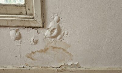 Como corrigir parede descascando e evitar bolhas na pintura sem deixar manchas no acabamento