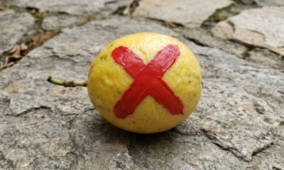 Adeus, maracujá: essa fruta amarela parece uma mini pinha rústica, mas revela um sabor surreal de iogurte de pêssego na polpa suculenta