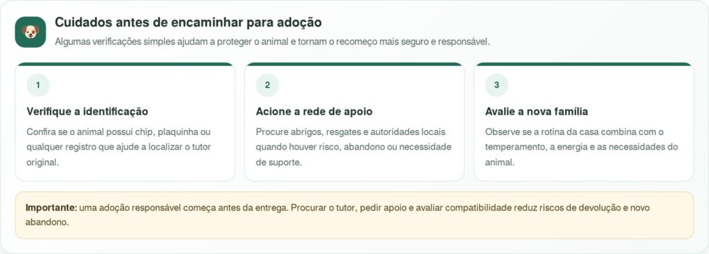 Mulher resgata cachorrinho durante caminho para o trabalho